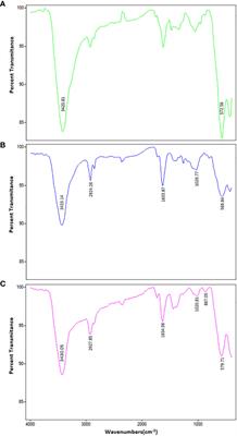 Polyethylenimine-based iron oxide nanoparticles enhance cisplatin toxicity in ovarian cancer cells in the presence of a static magnetic field